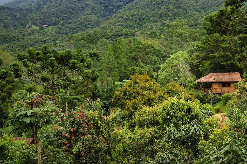 Pousada Das Araucarias Hotel Visconde De Maua Eksteriør billede