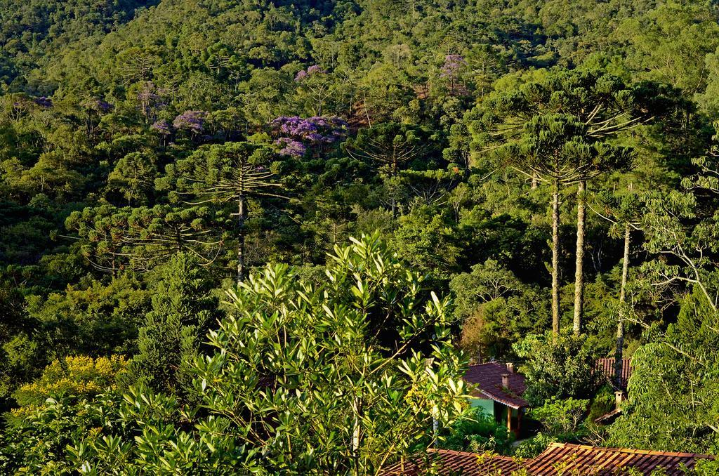 Pousada Das Araucarias Hotel Visconde De Maua Eksteriør billede